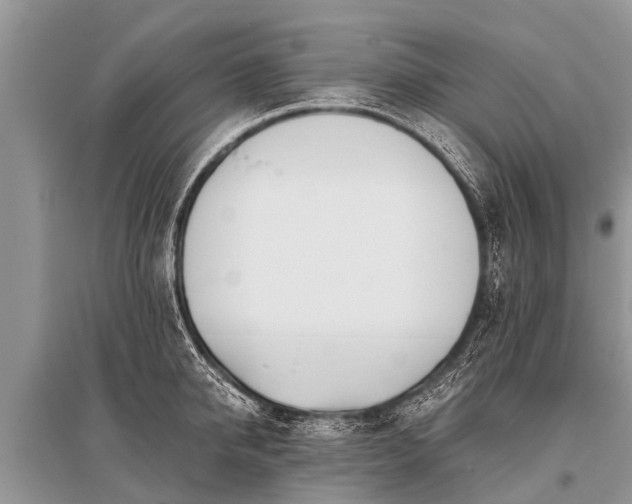 X0000096140950200801251038