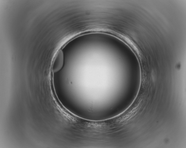 X0000096140951200801251038