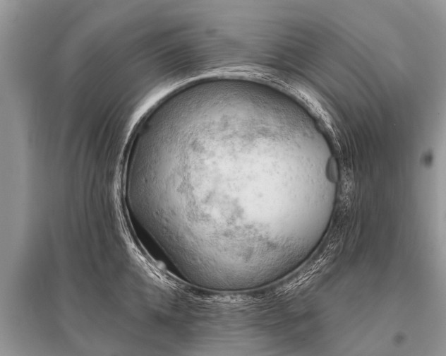X0000096140952200801251038