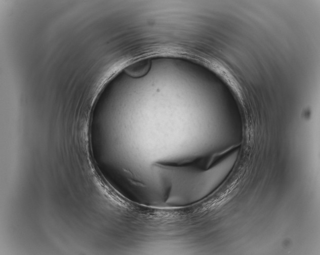 X0000096140954200801251038