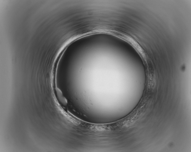 X0000096140955200801251038