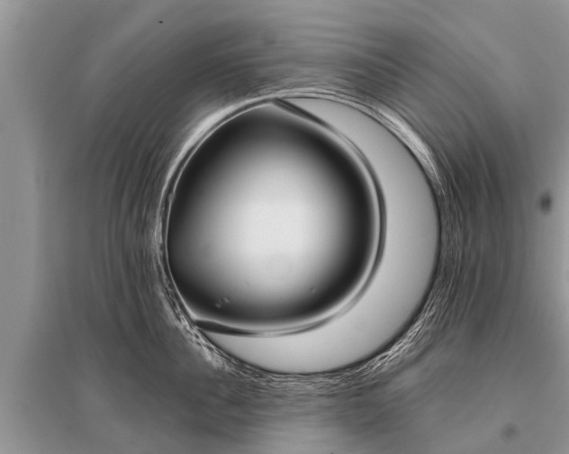 X0000096140956200801251038