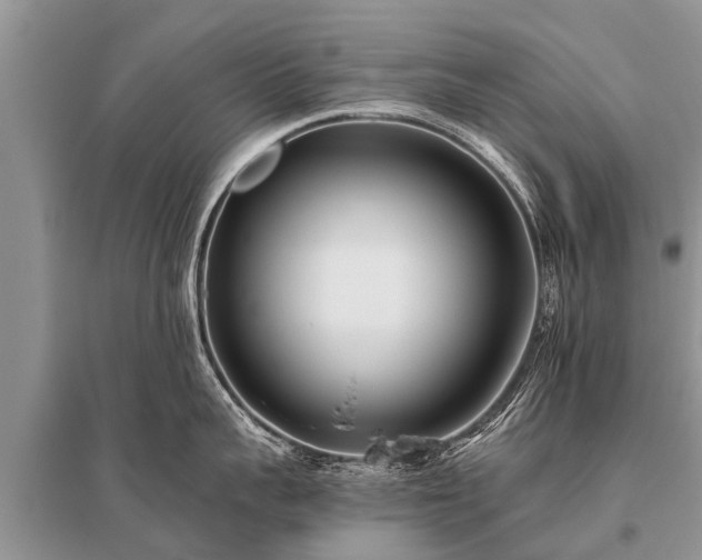X0000096140959200801251038