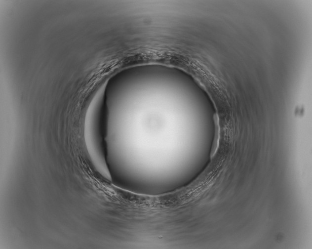 X0000096140961200801251037