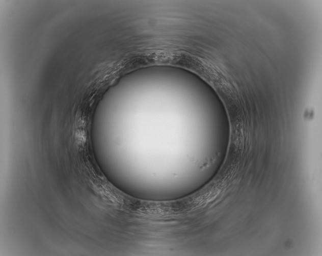 X0000096140962200801251037