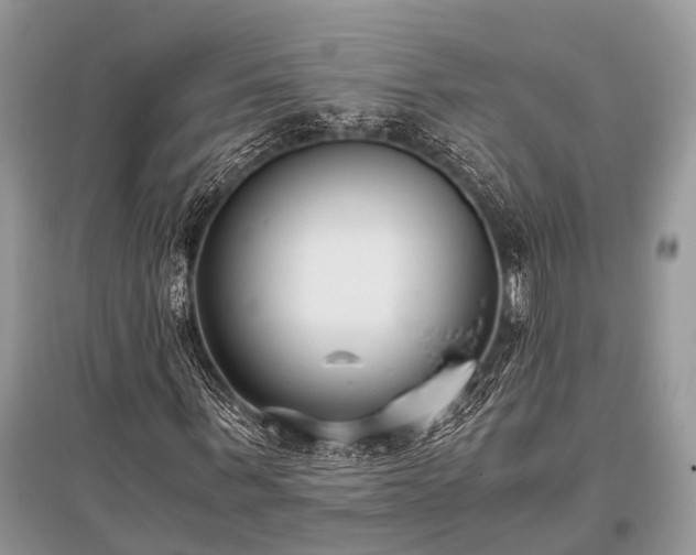 X0000096140963200801251037