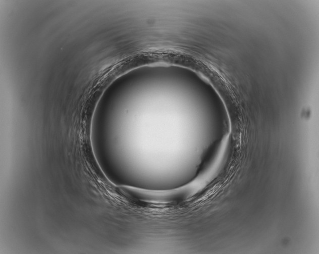 X0000096140965200801251037