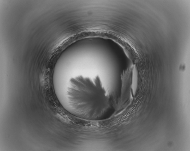 X0000096140968200801251037