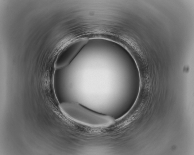 X0000096140969200801251037