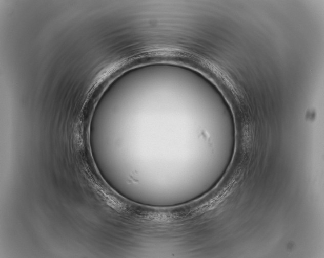 X0000096140970200801251037