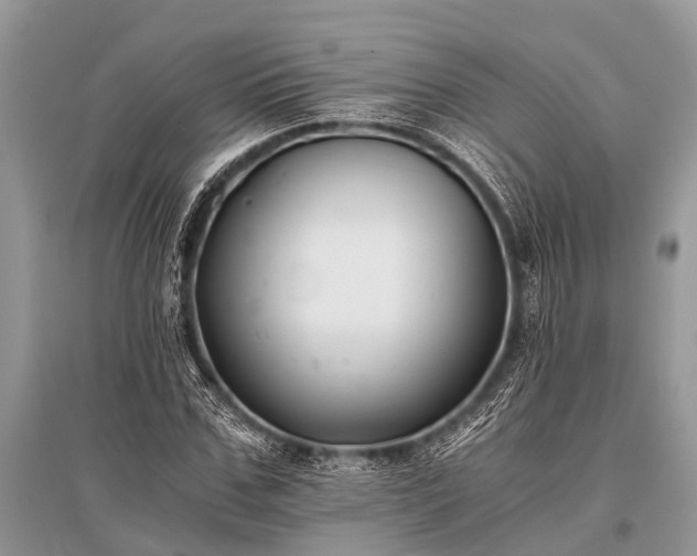 X0000096140971200801251037