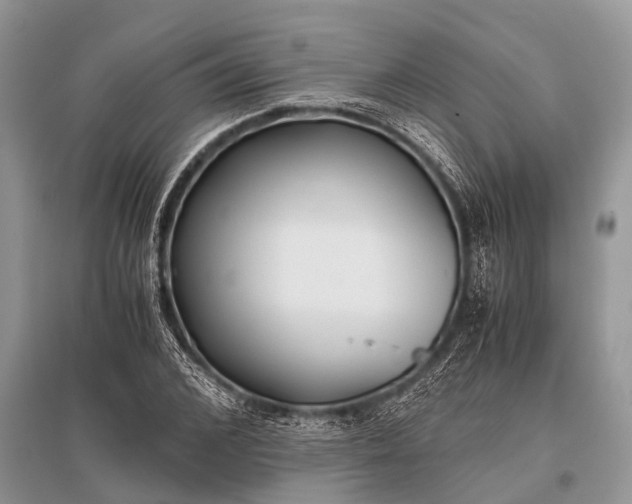 X0000096140976200801251037