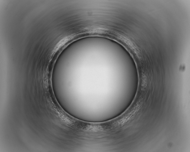 X0000096140978200801251037
