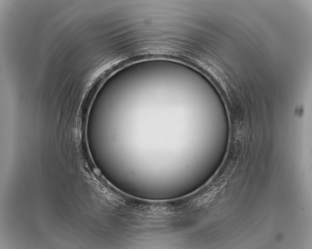 X0000096140979200801251037