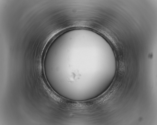 X0000096140980200801251037