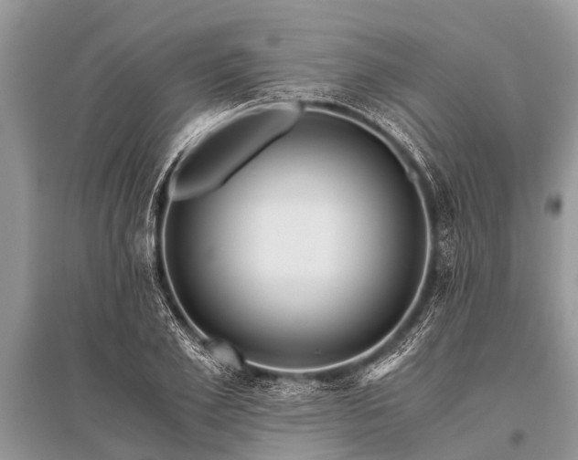 X0000096140981200801251037