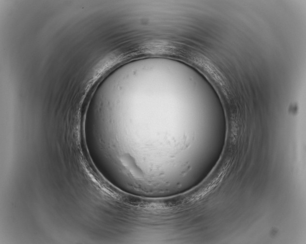 X0000096140986200801251037