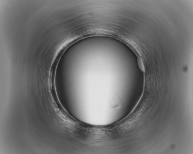 X0000096140987200801251037