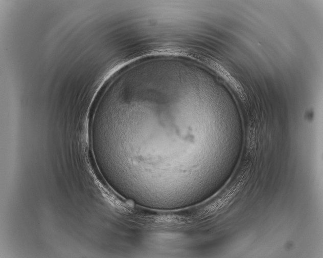 X0000096140988200801251037