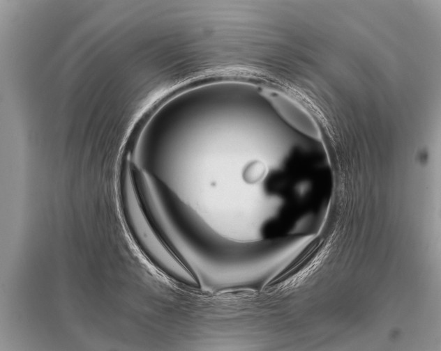 X0000096140989200801251037
