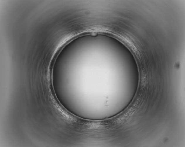 X0000096140990200801251037