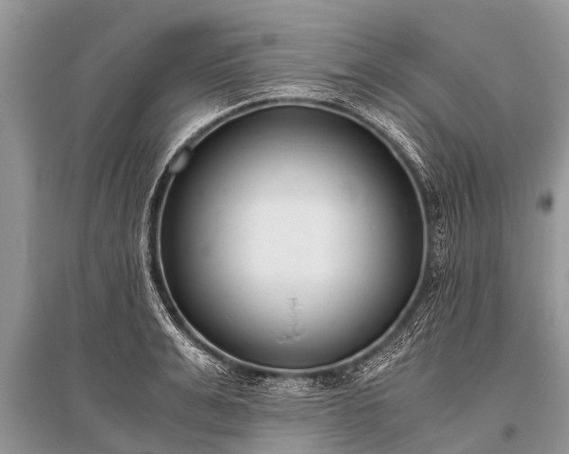 X0000096140991200801251037