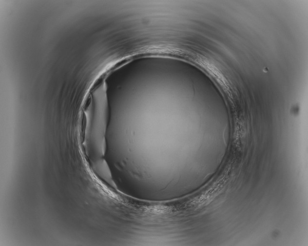 X0000096140992200801251037