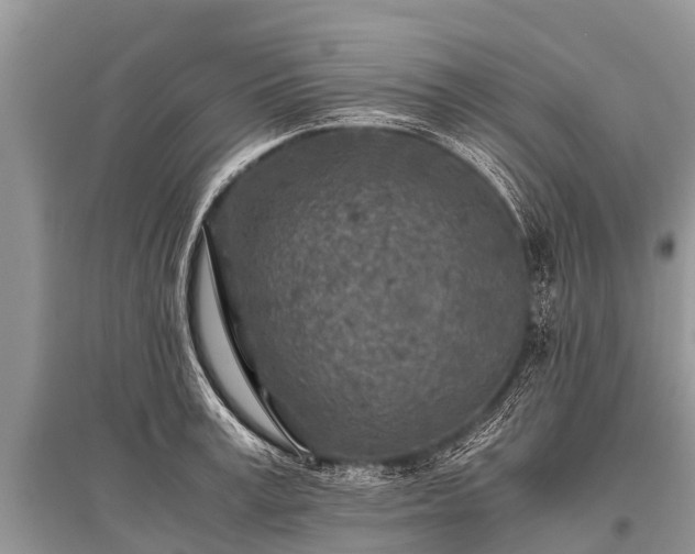X0000096140995200801251037