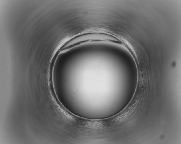 X0000096140997200801251037