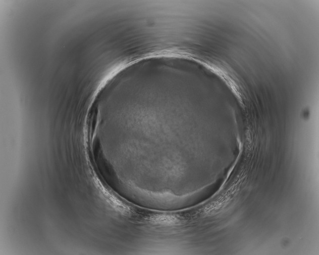 X0000096140998200801251037