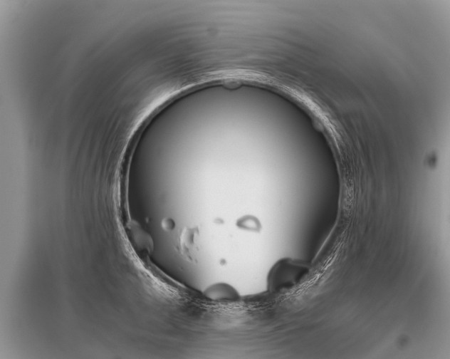 X0000096140999200801251037
