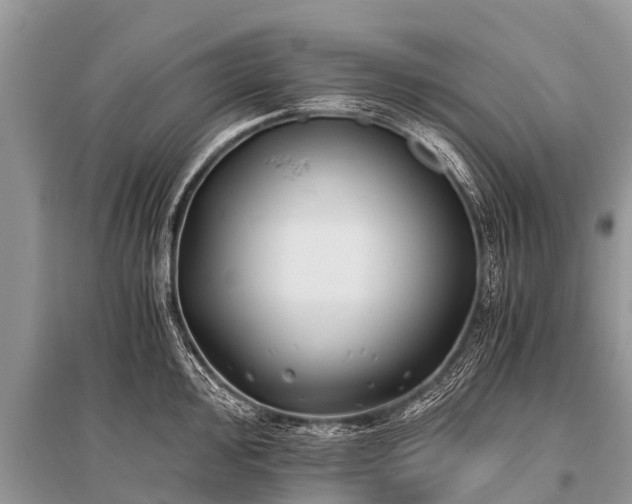 X0000096141000200801251037