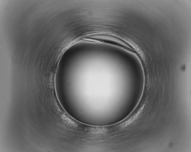 X0000096141001200801251037
