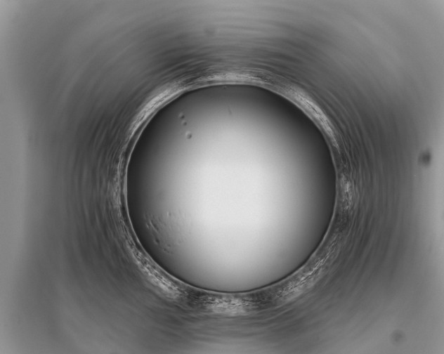 X0000096141002200801251037