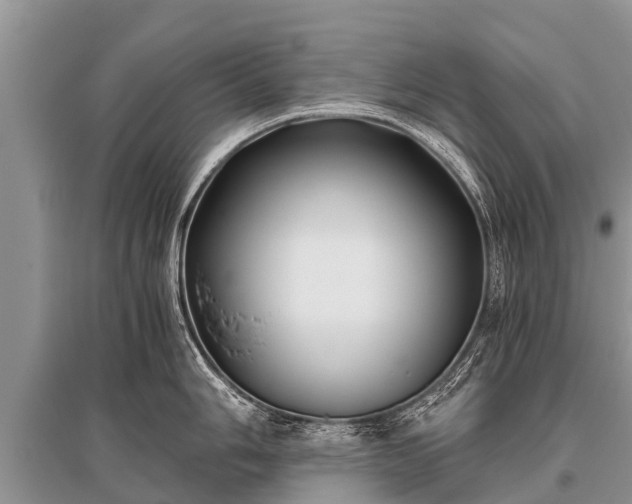 X0000096141006200801251037