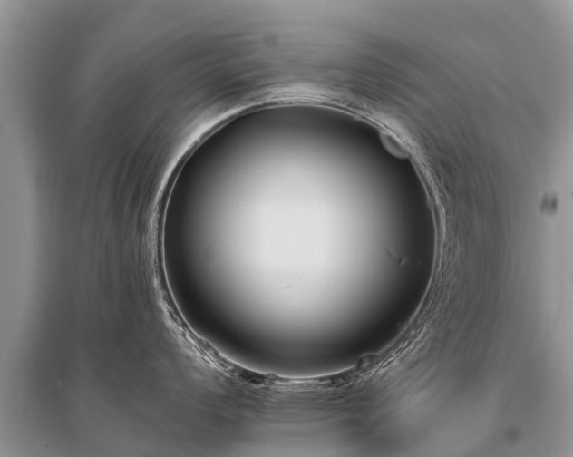 X0000096141008200801251037