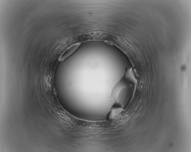 X0000096141010200801251036
