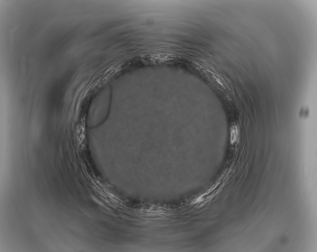 X0000096141011200801251036