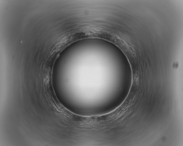 X0000096141012200801251036