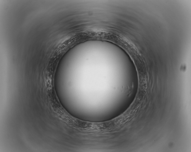 X0000096141013200801251036