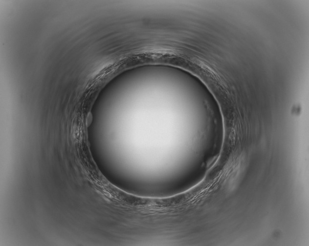 X0000096141014200801251036