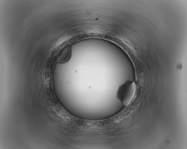 X0000096141015200801251036