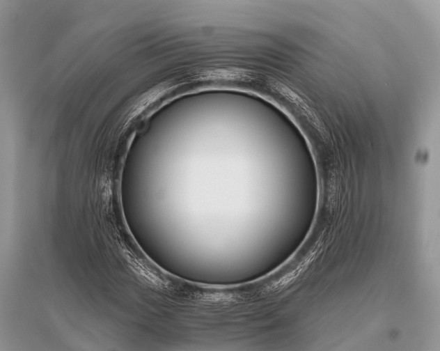 X0000096141017200801251036