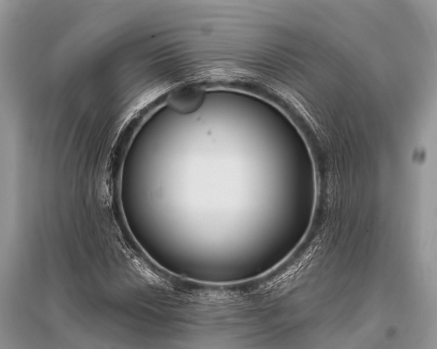 X0000096141018200801251036
