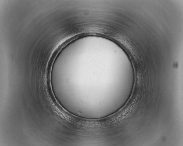 X0000096141020200801251036
