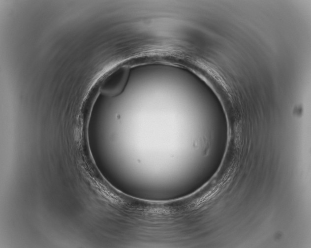 X0000096141021200801251036