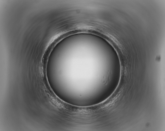 X0000096141022200801251036