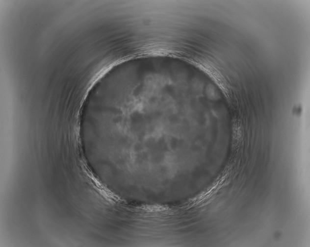 X0000096141023200801251036