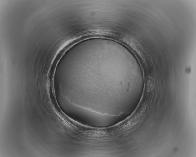 X0000096141024200801251036