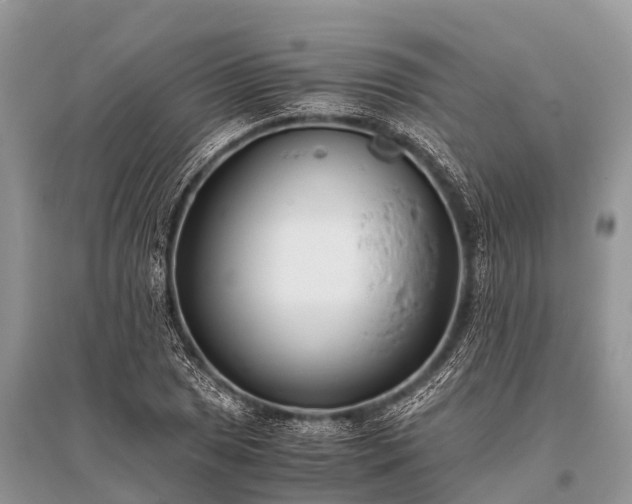 X0000096141025200801251036